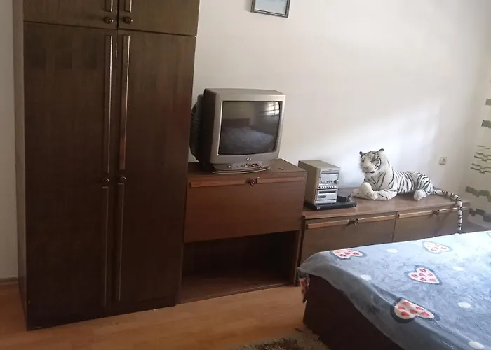 公寓 Zivic Berilovac